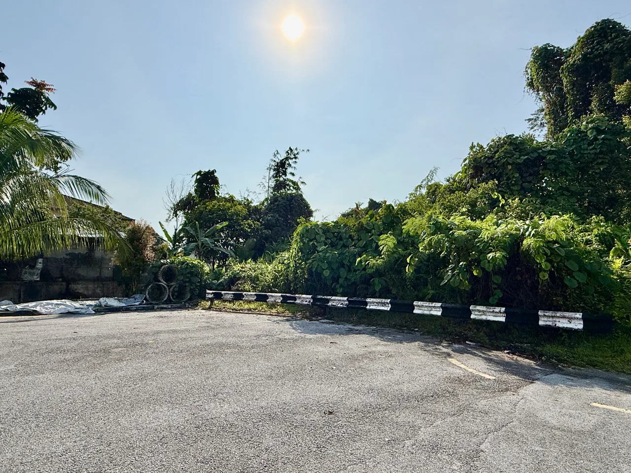 95.45 points Agricultural Land at Stephen Yong