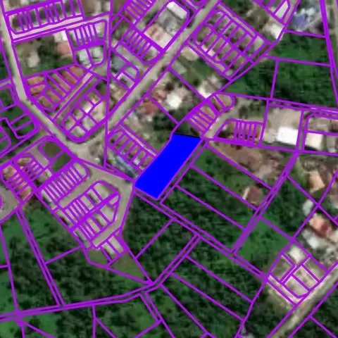 95.45 points Agricultural Land at Stephen Yong
